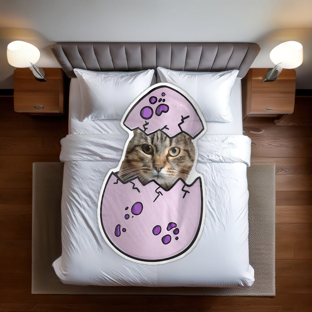 Dino Egg Funform Blanket